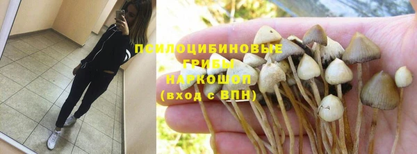 spice Армянск