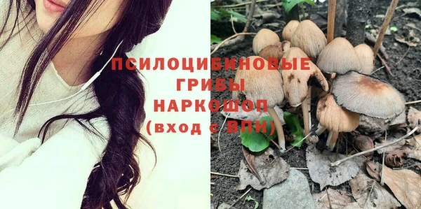 соль курить ск Арсеньев