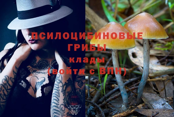 spice Армянск