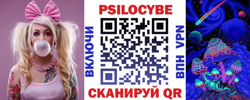 как найти закладки  Белокуриха  Галлюциногенные грибы Psilocybe 